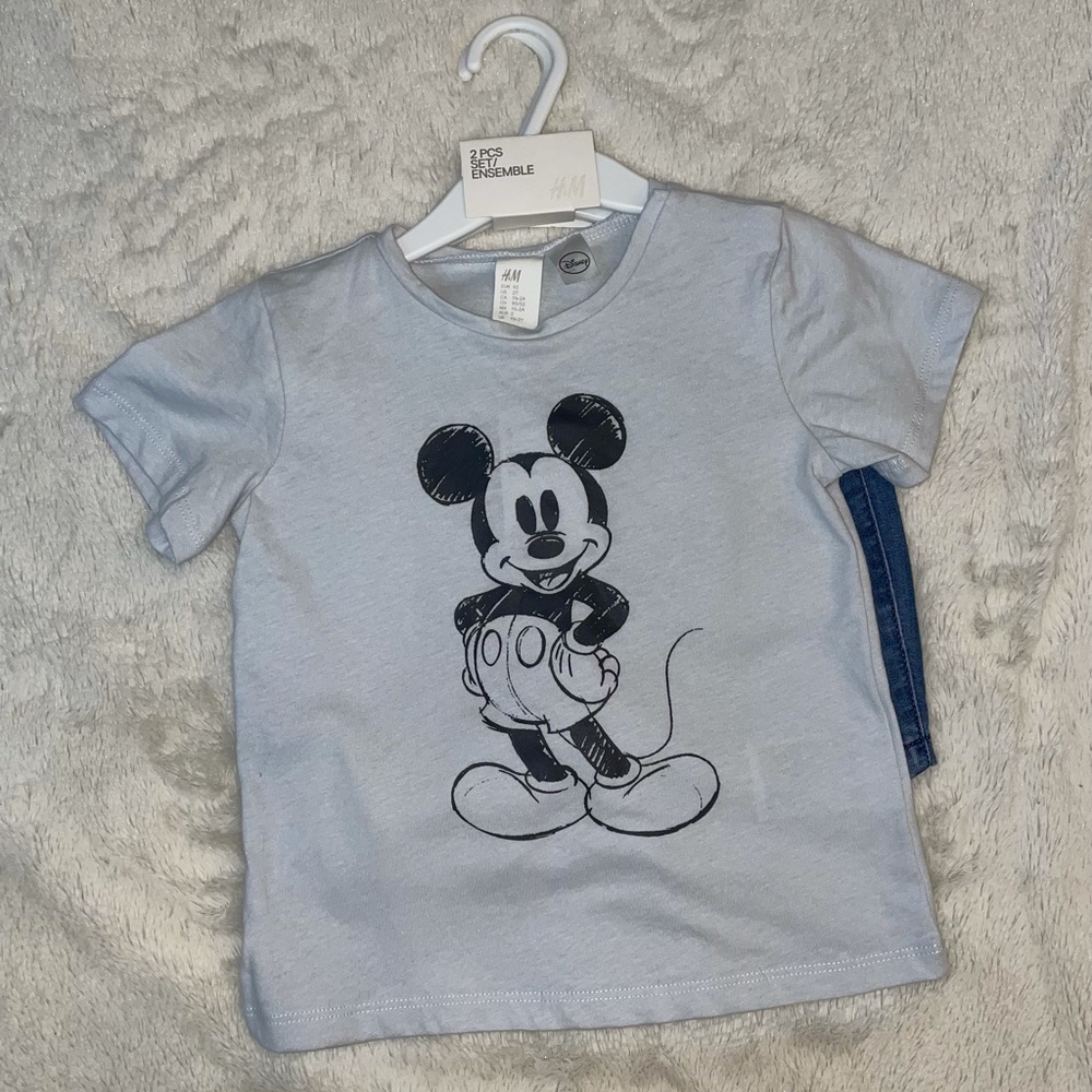 Disney set